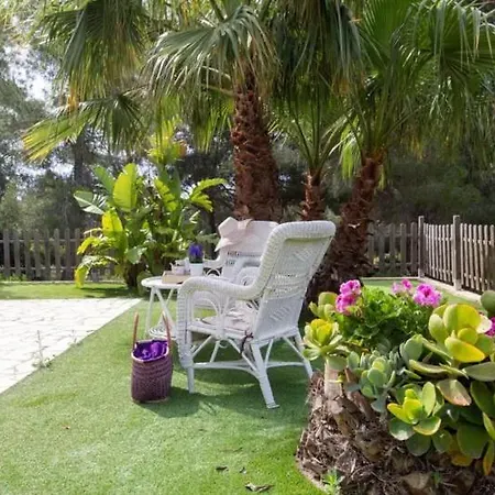 Magnifica Con Piscina En Zona Bosque Sant Jordi De Alfama *