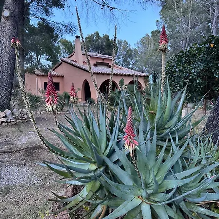 Magnifica Con Piscina En Zona Bosque Sant Jordi De Alfama Villa *